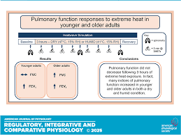 Image result for Higher Integrative Function