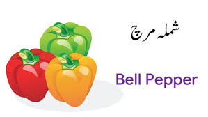 Vegetable Names In English And Urdu With Pictures Download Pdf In 2020 Fruits Name In English Name Of Vegetables Vegetables Names With Pictures