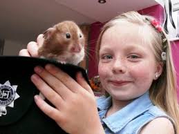 Hamster's great escape in Beddington