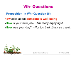 Check spelling or type a new query. English Grammar Practice Ppt Download