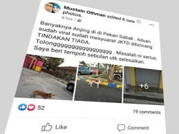 Daripada jumlah itu, 869 adalah terletak berhampiran sumber sungai utama. Isu Anjing Liar Masih Tiada Tindakan