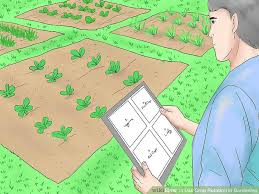 How To Use Crop Rotation In Gardening 11 Steps With Pictures