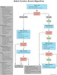 Advanced cardiovascular life support (acls) is available in two different training methods the american heart association acls courses provide ceu/cme credits for emts, aemts, paramedics. Pin On Education