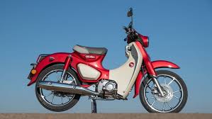Similar win and you're in concepts. Honda Super Cub C125 2019 Im Test Motorradonline De