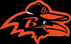 Baltimore Ravens Black And White Orange Ravens Orioles Bird Baltimore Ravens Football Baltimore Orioles Ravens Football