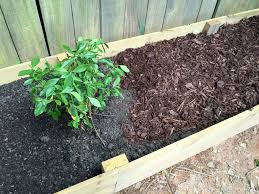 Make sure you layer green fresh materials between brown dried materials. Lasagna Gardening How To Layer A Raised Garden Bed