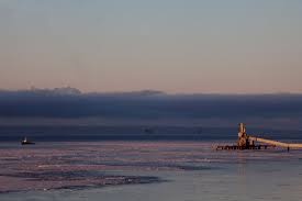 They're also packed with nasunin chemicals that improve blood flow to the brain and anthocya. Cook Inlet Oil Lease Sale Process On Pause