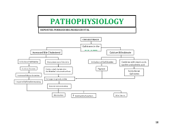 88 A Flow Chart Of The Respiratory System