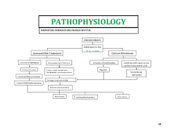 88 a flow chart of the respiratory system