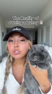 Eves First Rabbit Review