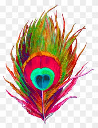 This design is intended to be cut with an electronic cutting machine. Free Png Peacock Feather Clip Art Download Pinclipart