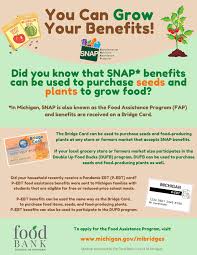 We did not find results for: Food Gatherers On Twitter Did You Know Snap Benefits On Both The Bridge Card And P Ebt Card Can Be Used To Purchase Seeds And Food Producing Plants Now Is The Perfect Time To