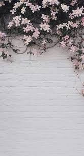 Cute Pink Flower Wallpaper Pink Flowers Wallpaper Photography Wallpaper Backgrounds Phone Wallpapers