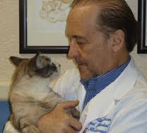 The Paw Project Team