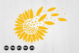 Download Sunflower Petals Blown In The Wind Graphic By 99 Siam Vector Creative Fabrica PSD Mockup Templates