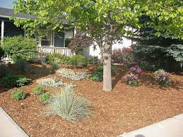 No Mow Inspiration Front Yard Landscaping Xeriscape Small Front Yard Landscaping