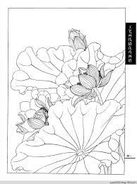 工笔画白描 荷花 水韵清香 水韵清香 flower drawing lotus flower painting lotus drawing
