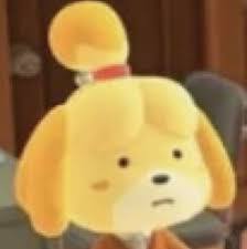 Looking Through The Assignment Schedule During Syllabus Week Animal Crossing Funny Animal Crossing Memes Animal Crossing Characters