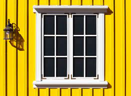 I love, love, love yellow exterior color for a house, especially on stunning yellow new england home with white picket fence, black exterior shutters, white door flanked by mature trees. Colors That Compliment Yellow Wow 1 Day Painting