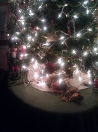 Our Christmas Tree This Year With The White Outdoor Icicle Lights Because All The Stores Were Out Of The Indoor Light Strand Christmas Tree Icicle Lights Tree