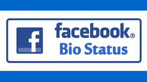 Where would go on a dream vacation? 500 Best Facebook Bio Status About Me Intro Quotes