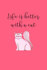 15 Short Cat Quotes Cute And Funny For Cat Lovers In 2021 Inspirational Cat Quotes Cat Quotes Cat Lover Quote