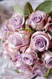 Purple Rose Bouquet Purple Roses Wedding Lilac Roses Purple Roses