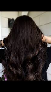 Rich Chocolate Brown Hair Brown Hair Shades Brown Hair Dye Brunette Hair Color