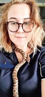 How can I get anything done at work with my French Bulldog around?