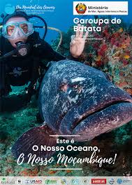 O dia mundial dos oceanos (world ocean day) é celebrado em 8 de junho. Hoje E Dia Mundial Dos Oceanos A Usaid Usaid Mozambique Facebook