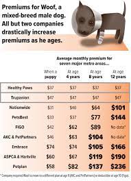 How much does pet insurance cost? Pet Insurance How To Get The Best Price And Coverage