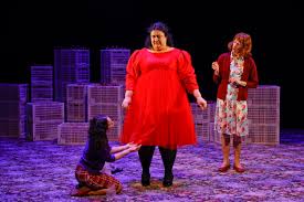 Reviews — STEPHEN NICOLAZZO