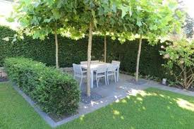 42 Amazing Ideas With Natural Pergolas In The Garden And How To Organize The Space Around The Trees Low Maintenance Garden Design Plane Tree Front Garden