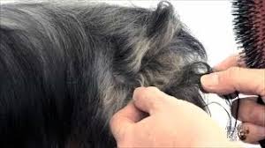 We've lived with a lot of long haired dog dogs over the years, and i mean lots! How To Demat A Dog Getting Rid Of Dog Mats Fur Tangles