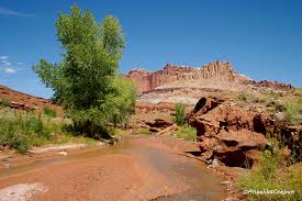 The temple mountain wash pictograph panel contains both styles with the fremont people placing their paintings alongside the older ones. Capitol Reef Nationalpark Sehenswurdigkeiten Und Trails