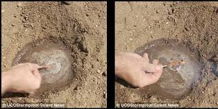 We did not find results for: Setelah Direndam Air Korek Api Ajaib Ini Kembali Menyala Merdeka Com