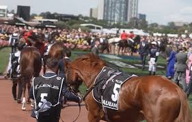 Victoria Racing Club - News update