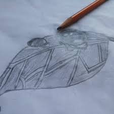 Finish the body on the sides. Easy 3d Art Pencil Drawing How To Draw 3d Dew Drop On Leaf 5 Steps With Pictures Instructables