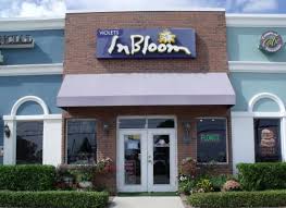 Maybe you would like to learn more about one of these? About Us Violets In Bloom Melbourne Fl