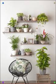 Pin On Plants Home Decor