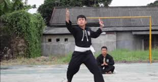 Untuk mendapatkan contoh jurus kunci psht kita harus melakukan suatu kegiatan yaitu ikut latihan sh. Jurus Persaudaraan Setia Hati Terate Psht Aturan Permainan