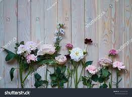 young flowers on rustic wooden boards の写真素材 今すぐ編集 1229781532 季節の生花種類 花 フリー 写真 素材