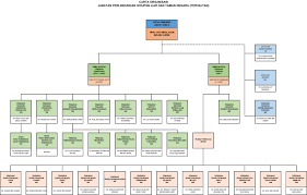 Carta Organisasi