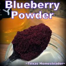 We did not find results for: How To Make Dehydrated Blueberry Powder Texas Homesteader