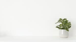 If you're already forcing yourself to find plain backgrounds for your zoom calls, it's time to get creative and select something fun or artsy to fill that space. Minimal Zoom Background Images Simple Virtual Meeting Backgrounds