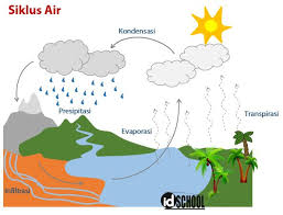 Evaporasi adalah reaksi kerja evaporator. 5 Tahapan Daur Air Idschool