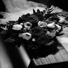 Let us challenge your notion of floral arrangement. please call or email today. Bird Of Paradise Couture Florals In Irvine California 949 474 7311