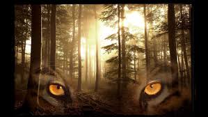 The tiger rising, written by the award winning author kate dicamillo, is an engaging story of two children whose lives are thrown together in a small town in florida. Tiger Rising Film Shoot Brings Hollywood To Thomasville Georgia