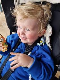 Anyone missing a puppy? Located Babbage Island Road