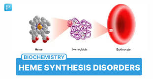 Image result for Heme